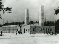 Chimneys of crematory in Auschwitz